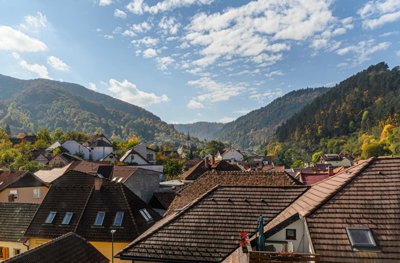 Sun Villas Accommodation Brasov Luaran gambar